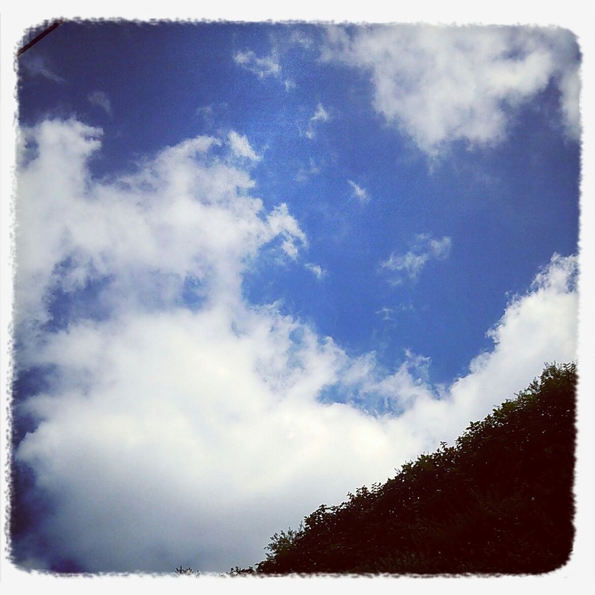 transfer print, sky, auto post production filter, low angle view, tree, cloud - sky, tranquility, beauty in nature, tranquil scene, nature, scenics, cloudy, cloud, weather, outdoors, day, growth, no people, idyllic, blue