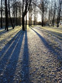 Road amidst bare trees on landscape