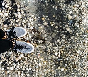 Low section of man standing on pebbles