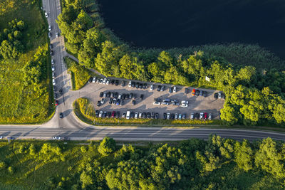 High angle view of road amidst trees