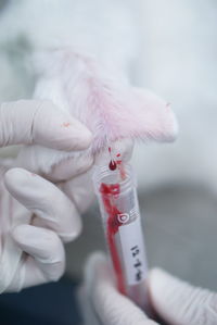 Close-up of hands drawing blood for medical testing