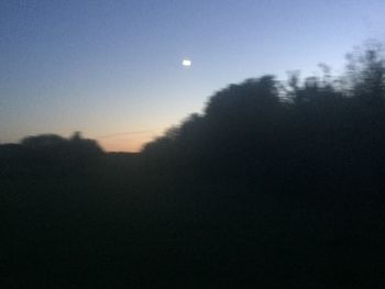 Silhouette trees against clear sky at night