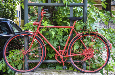 Bicycle parked by plants