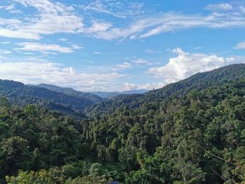 Scenic view of forest against sky