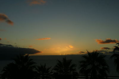 Silhouette palm trees by sea against romantic sky at sunset