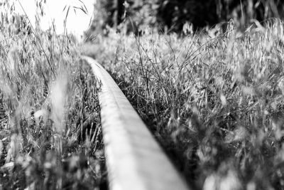 Close-up of railroad track on field