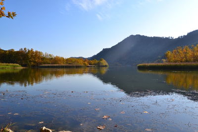 Scenic view of lake by trees against sky