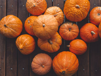 High angle view of pumpkins