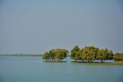 Scenic view of lake against clear sky