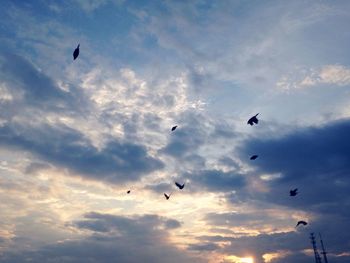 Low angle view of bird flying against cloudy sky