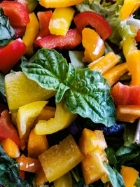 Full frame shot of chopped salad