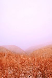 Scenic view of landscape against clear sky