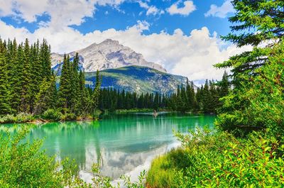 Scenic view of lake by trees against sky