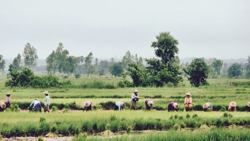 People working on farm field against sky