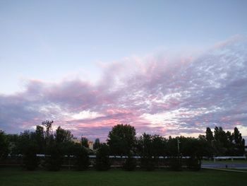 Trees on field against sky during sunset