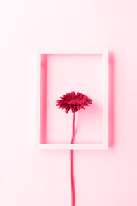 Blank picture frame against white background