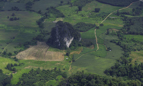 High angle view of agricultural landscape