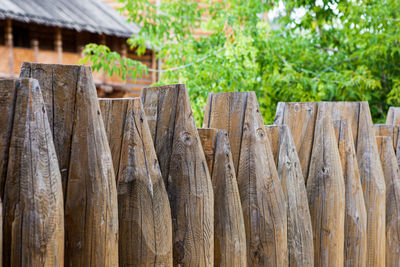 Close-up of wooden logs in forest