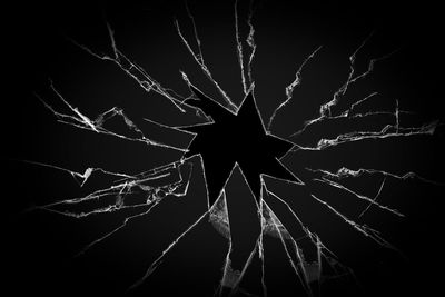 Low angle view of spider web against black background