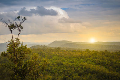 Scenic view of landscape against sky during sunset