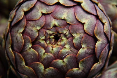 Detail shot of carrots