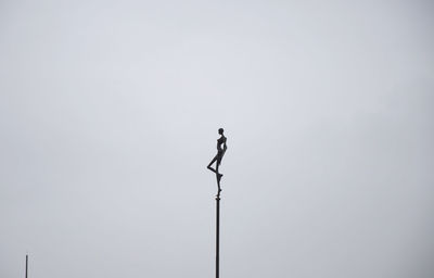 Low angle view of bird perching on pole against clear sky