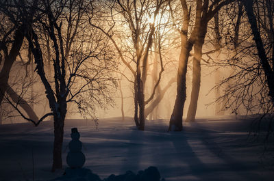 Bare trees on snow covered landscape during sunset