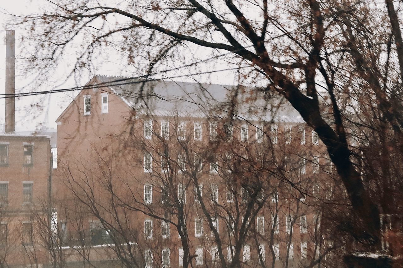 LOW ANGLE VIEW OF BARE TREES AND BUILDINGS