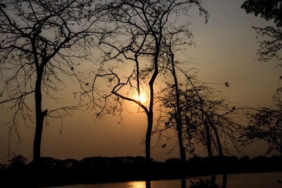 Silhouette bare tree against sky during sunset