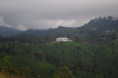Scenic view of trees on field against sky