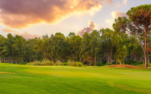 Scenic view of field against sky during sunset