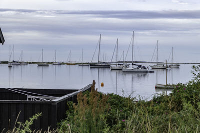 Sailboats moored in marina