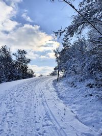 Snow covered land and trees against sky