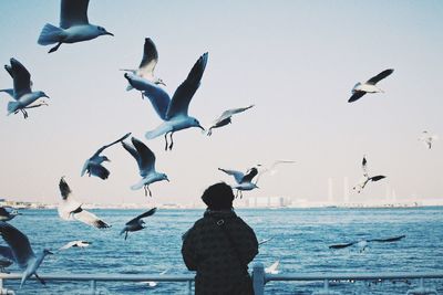 Seagulls flying over sea