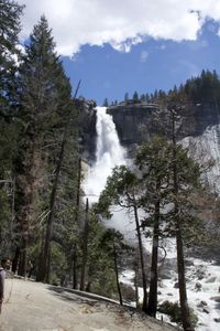 Scenic view of trees and waterfall against sky