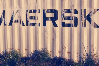 Text written on fence