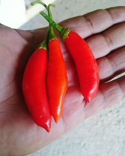 Close-up of tomatoes