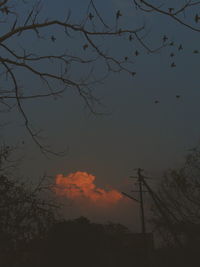 Low angle view of bare trees against sky