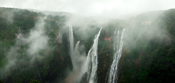 Panoramic view of waterfall in forest