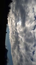 Low angle view of trees against sky