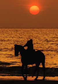 Silhouette horse on beach against sky during sunset