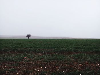 Scenic view of field against sky during foggy weather