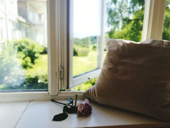 Close-up of window at home