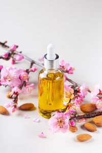 Almond essential oil in a bottles with spring blossom almond tree branches