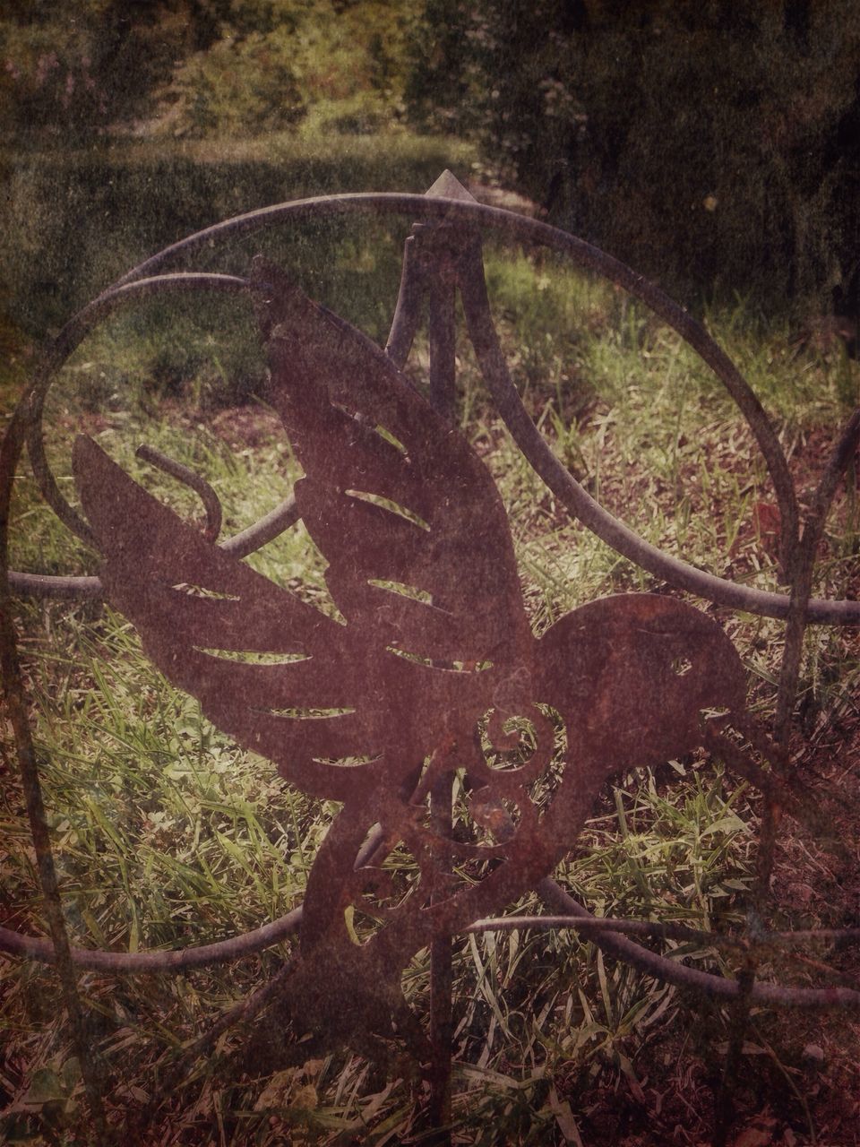 tree, field, metal, growth, wheel, nature, bicycle, transportation, tranquility, fence, rusty, day, grass, no people, outdoors, sunlight, close-up, plant, abandoned, metallic