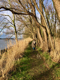 Rear view of man walking on dirt road