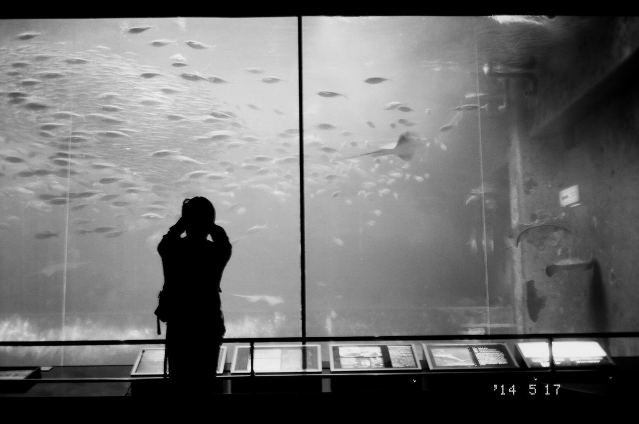 REAR VIEW OF SILHOUETTE MAN STANDING ON TILED FLOOR