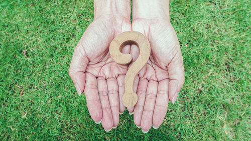 High angle view of human hand holding leaf