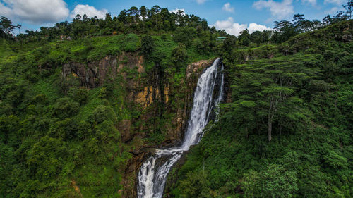 Scenic view of waterfall in forest