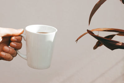Close-up of hand holding coffee cup